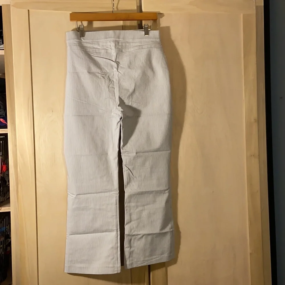 Free People Pinstripe Navy and White Trouser Pants - Picture 3 of 8